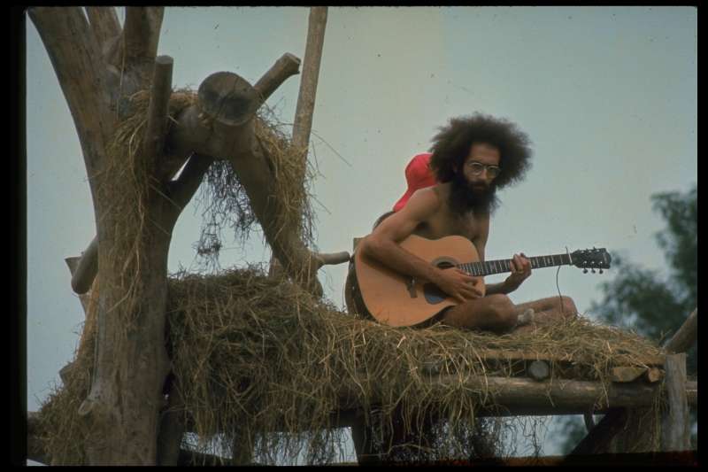 The guy with the long hair, playing the guitar up in the tree, or in that thing that looks almost like a nest. has the feeling of Woodstock to me. A photographer knows when he has a good shot.