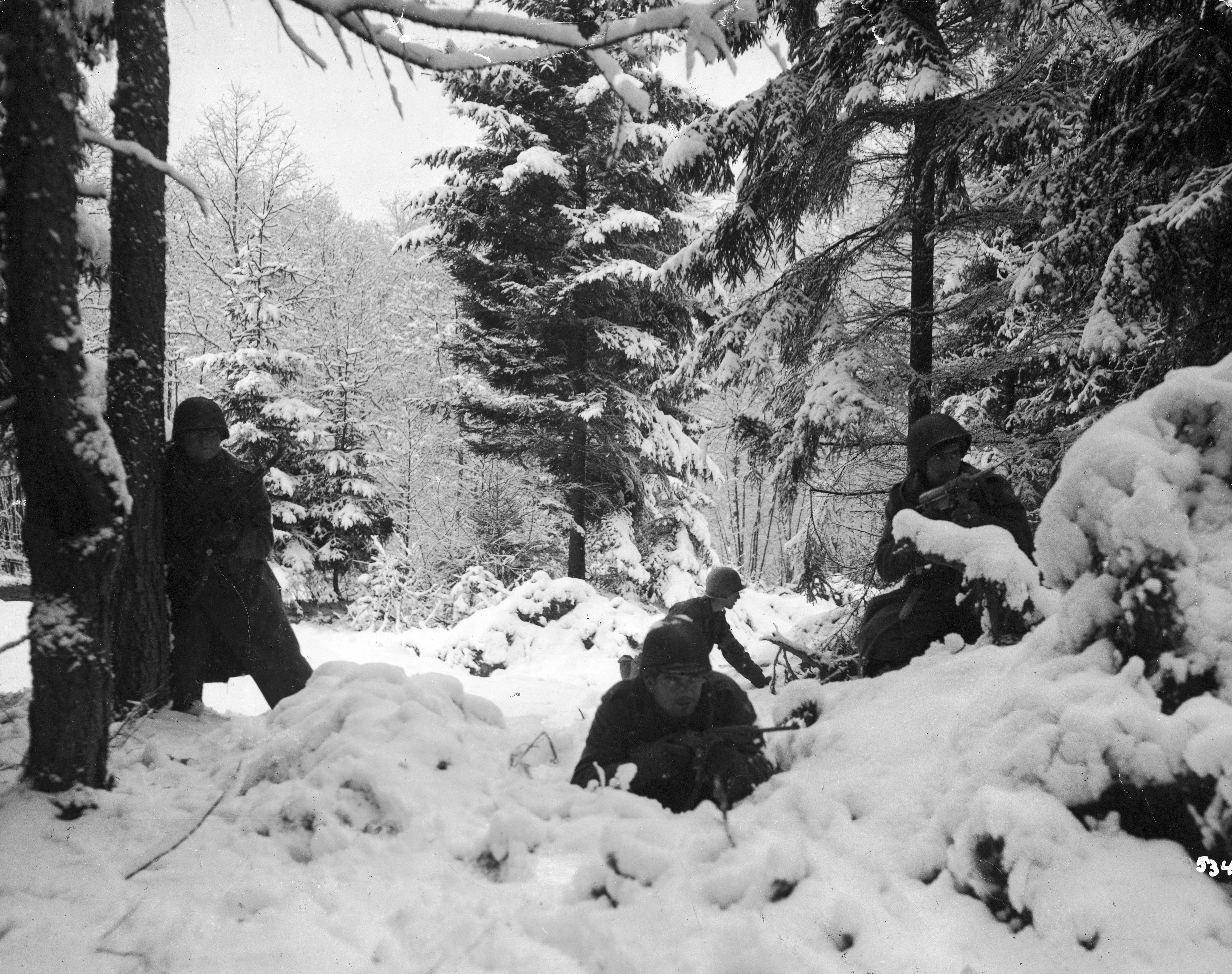 Зима фронт. Арденский лес первая мировая. Арденский лес вторая мировая. Арденский лес 1944. Арденский лес война.