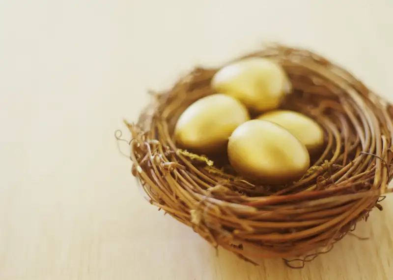 140529_ULTIMATERETIREMT_IRAs_nestegg_1