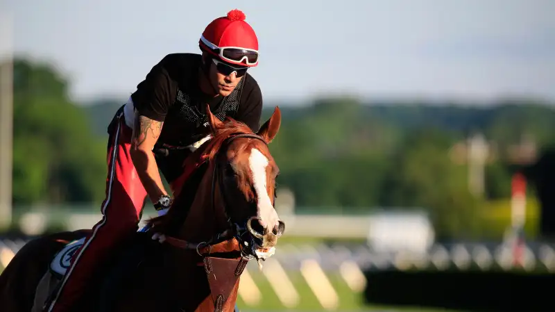 Kentucky Derby and Preakness winner California Chrome