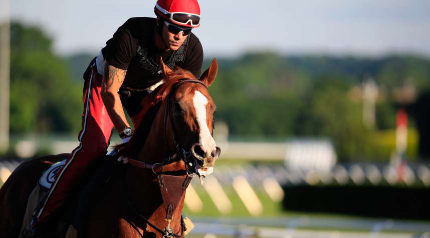 Kentucky Derby and Preakness winner California Chrome, with exercise rider Willie Delgado up, goes over the track in preparation for the 146th running of the Belmont Stakes at Belmont Park on June 6, 2014 in Elmont, New York.
