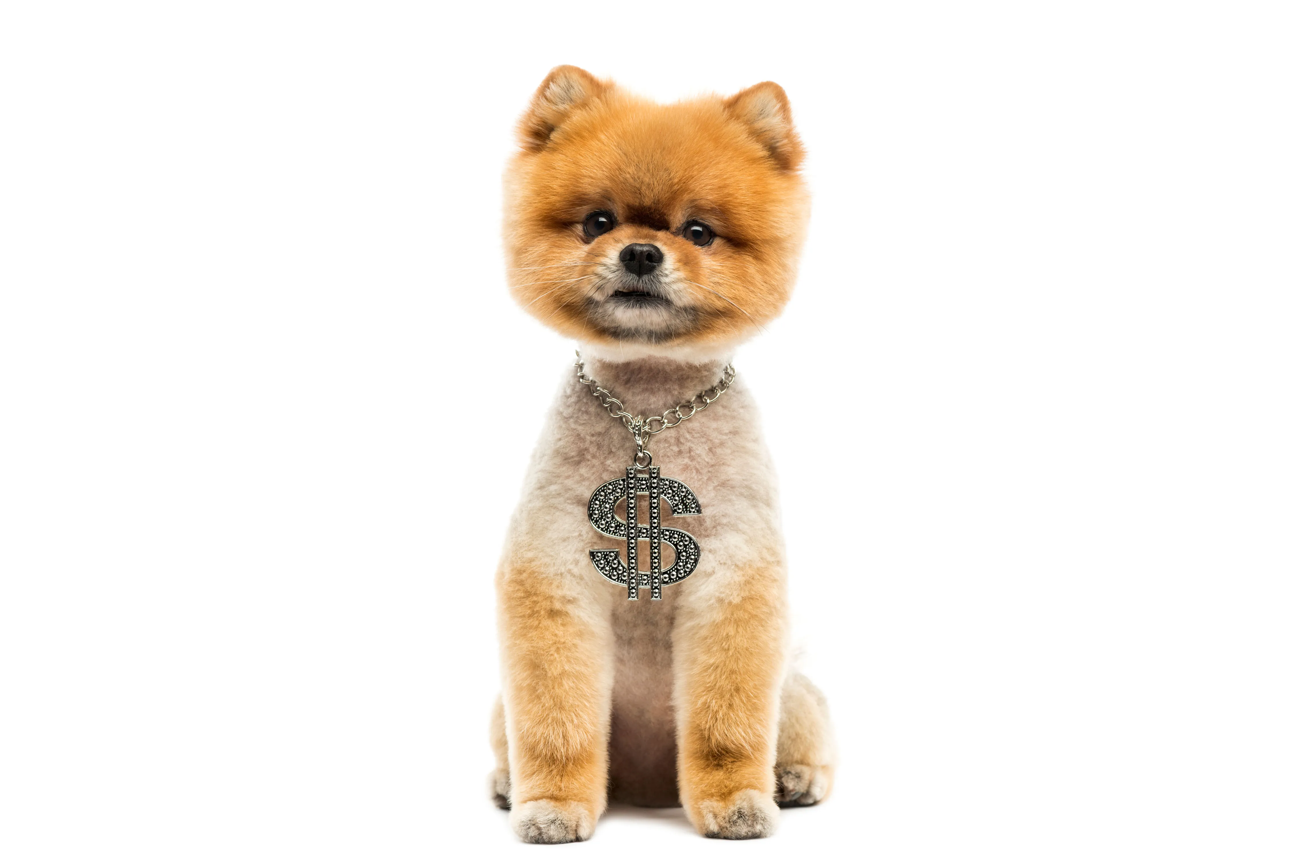 Financial Advice Is Good, but Emotional Well-Being Is Better