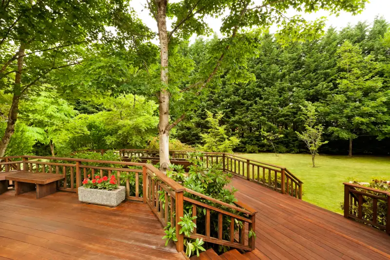 Large Back Deck