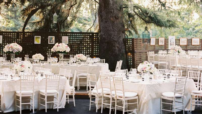 Outdoor wedding venue under a tree