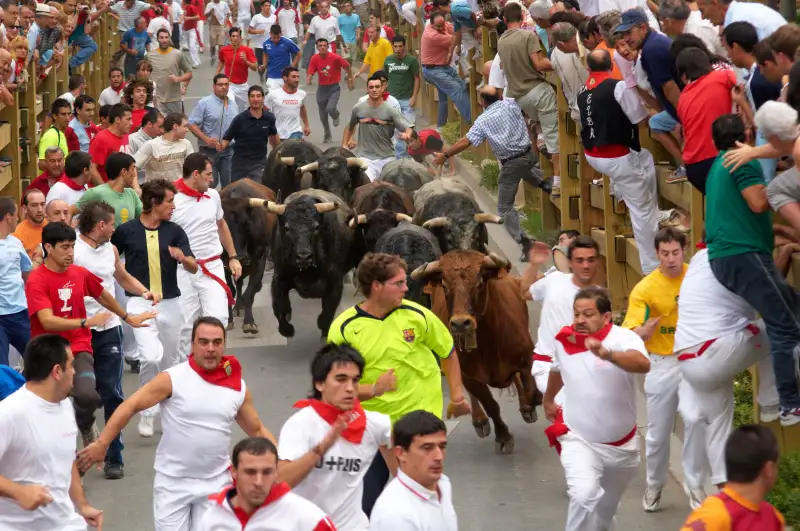 Running of the bulls