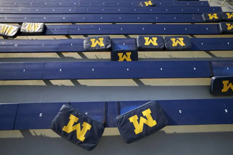 Bleachers at Michigan Stadium.