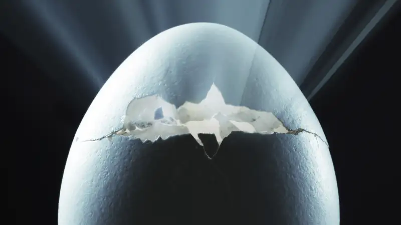 Cracked egg