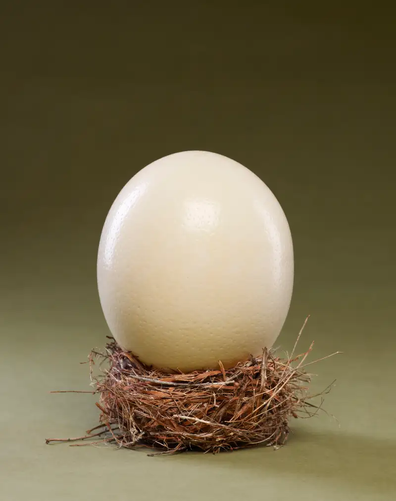 201412_RET_NESTEGG