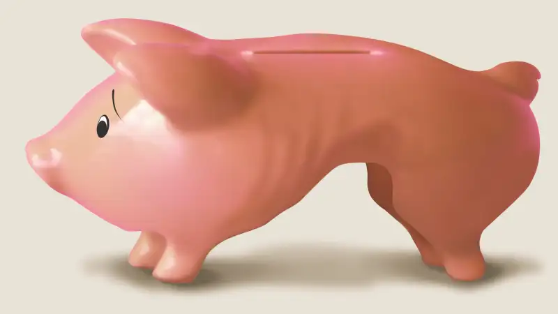 Skinny piggy bank