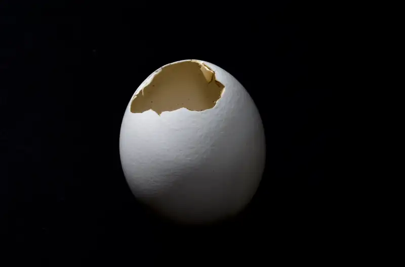 Egg with hole in it