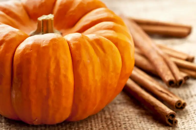 Pumpkin spice