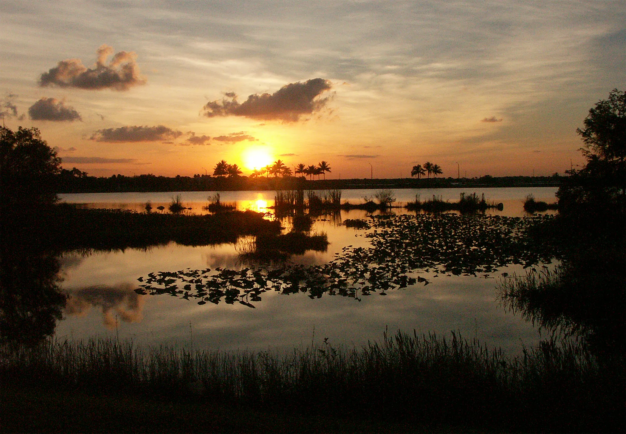 Pembroke Pines, Fla.