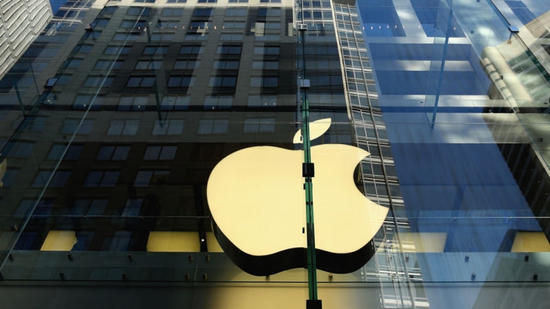 Carl Icahn Takes On Apple Again | Money