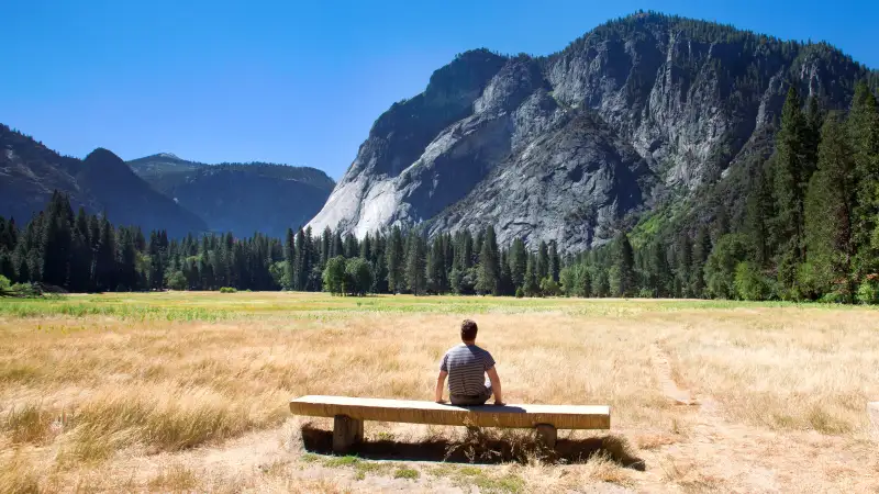 Bench in Yosemite Valley.