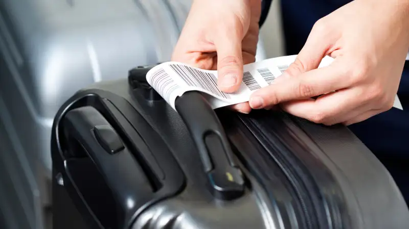 Checked bags