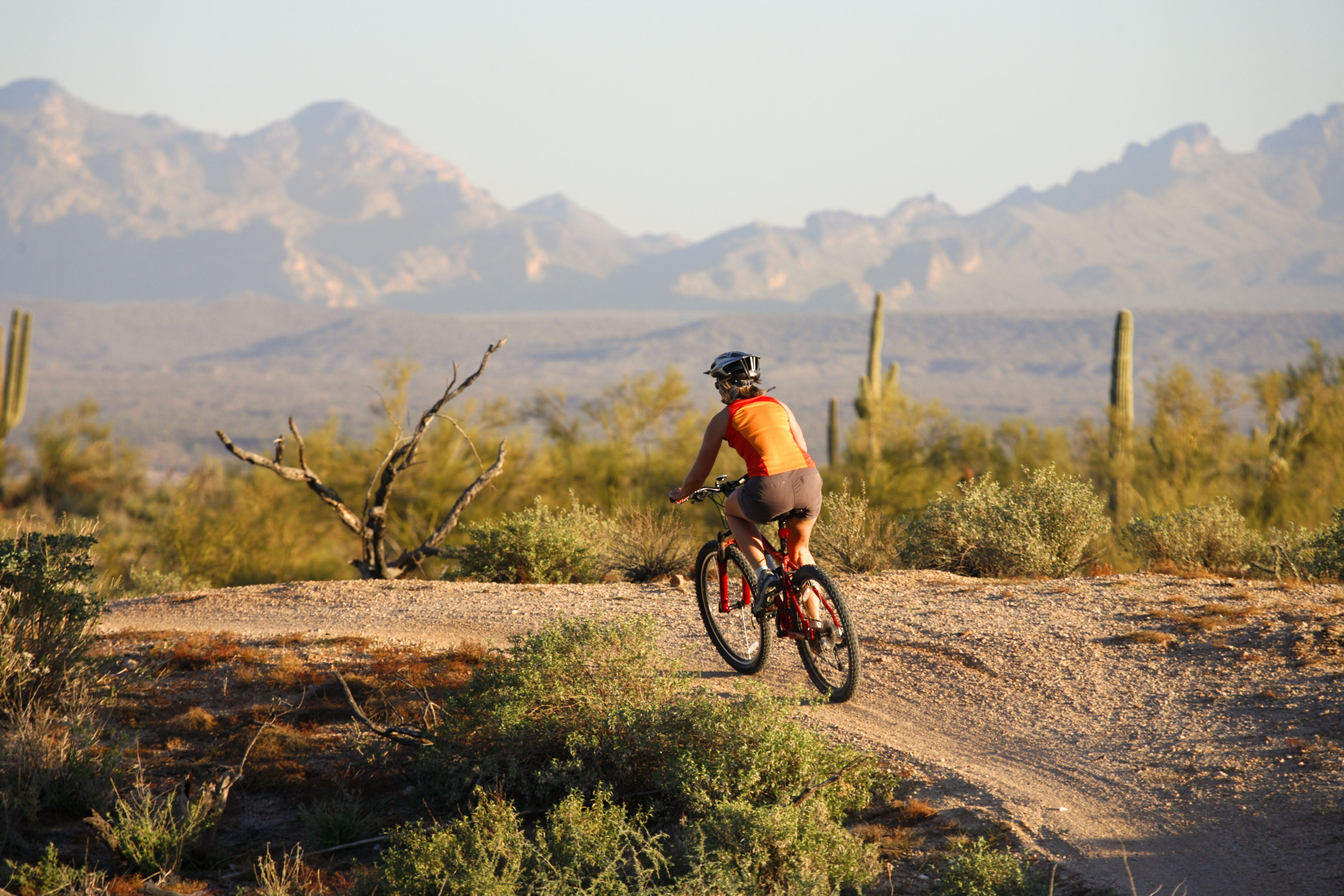 Mountain Biking on the Competitive Trails in McDowell Mountain Regional Park near Fountain Hills, east of Phoenix, Arizona.