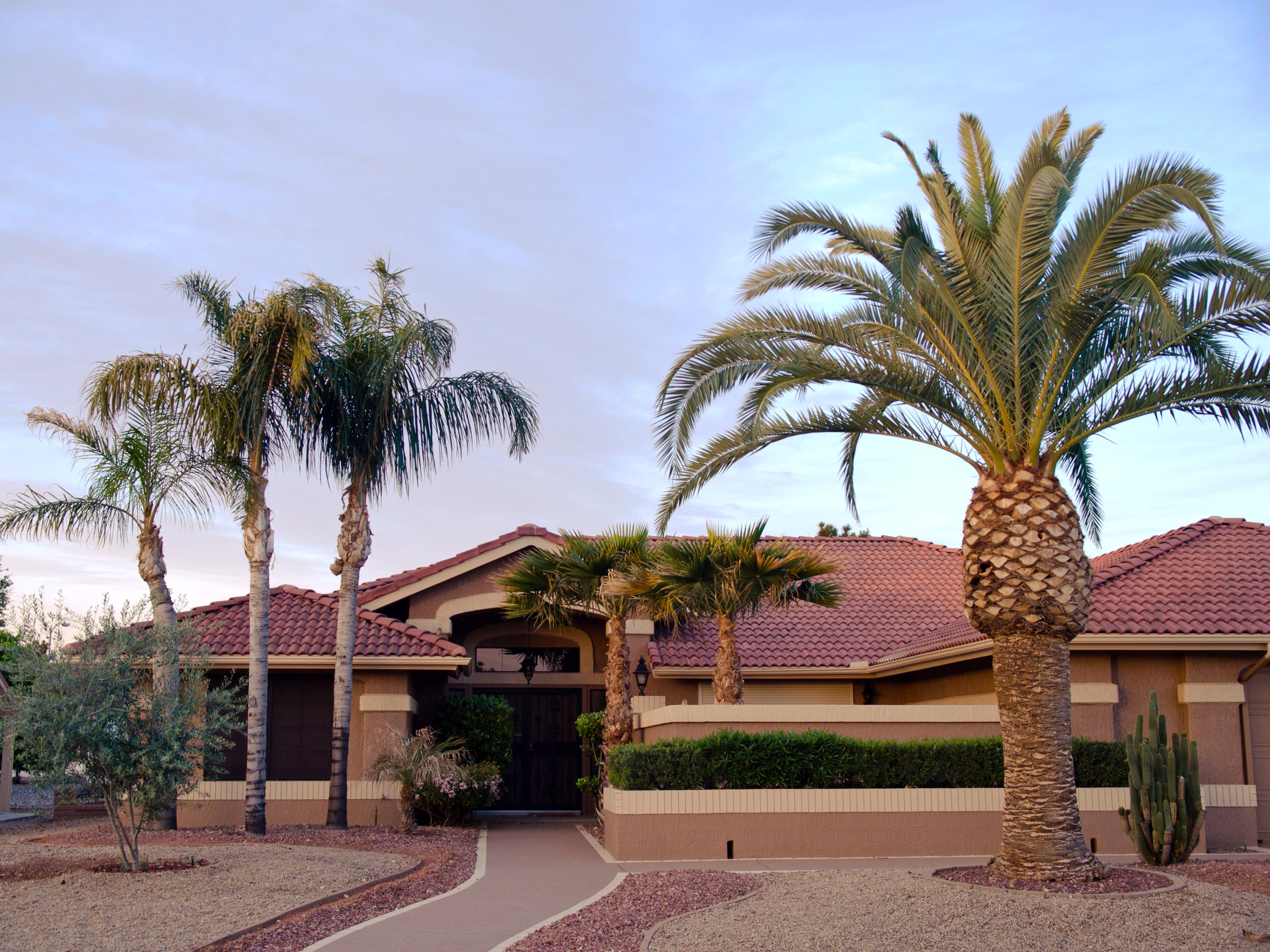 Sun City West Arizona home with native desert plant landscaping.