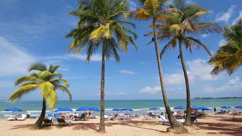 This palm-lined beach in San Juan, Puerto Rico, could be your holiday vista.