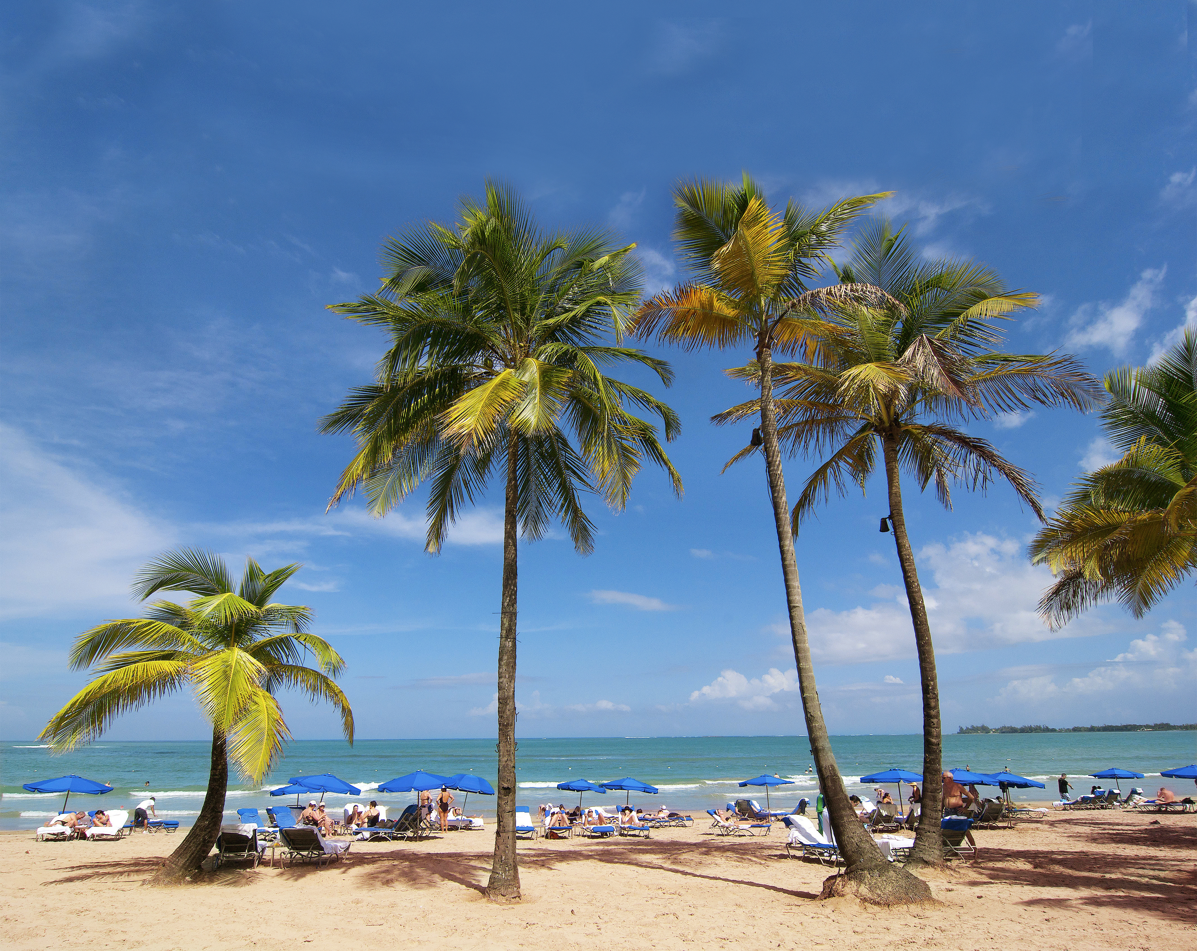This palm-lined beach in San Juan, Puerto Rico, could be your holiday vista.