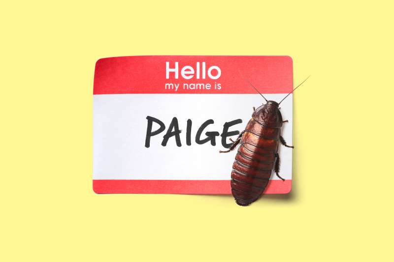name label with cockroach on it