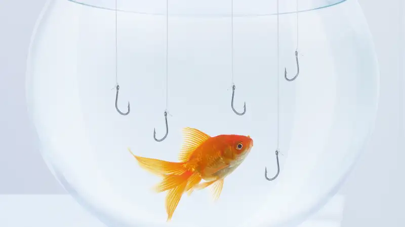 fishing hooks being dropped into fishbowl with goldfish