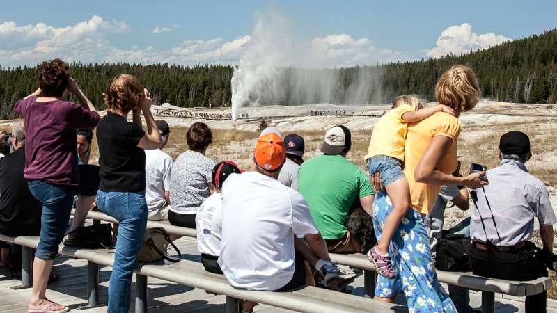 Crowds watch the eruption of Castle Geyser in Yellowstone National Park.