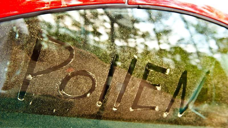 pollen written on windshield covered in pollen