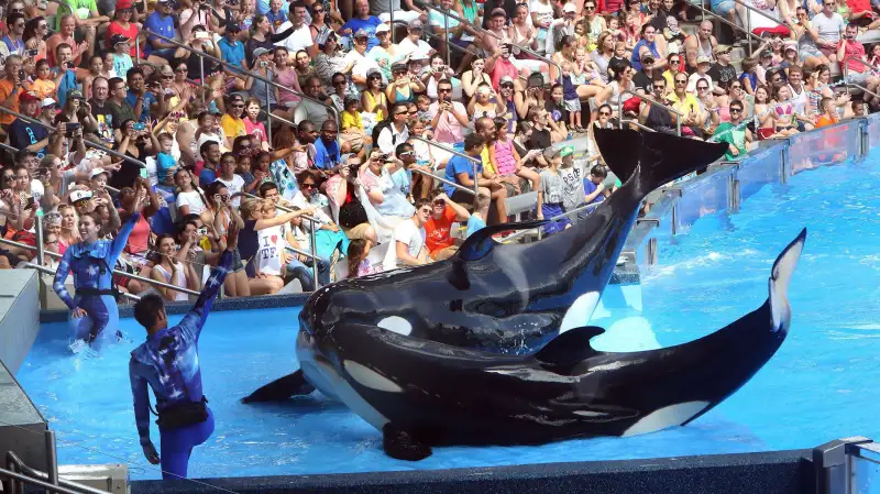 seaworld