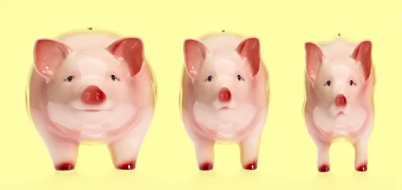 skinny piggy bank