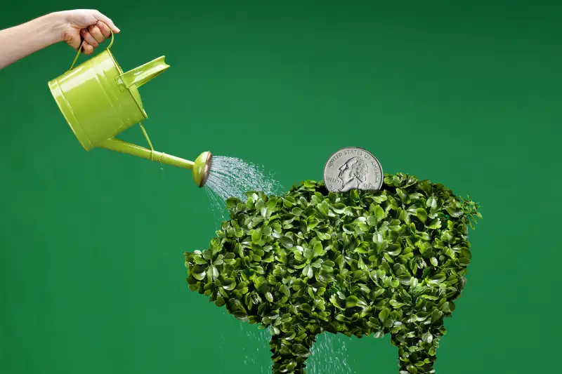 watering can watering a topiary piggy bank