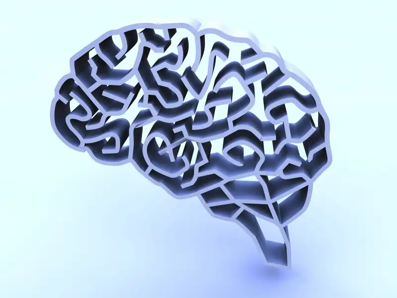 brain-shaped maze