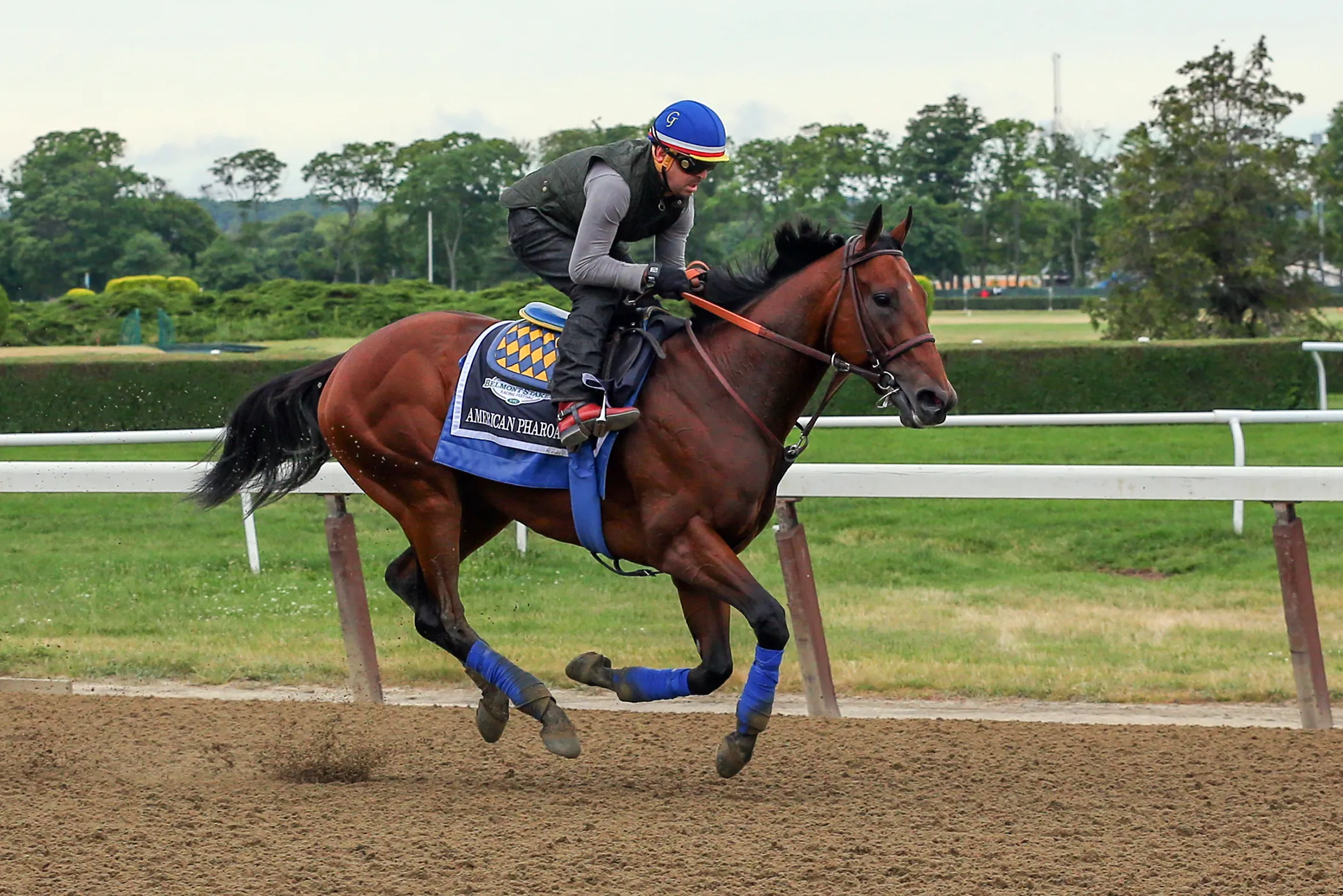 These Triple Crown Horses Made Their Humans Rich