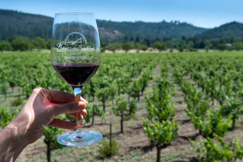 A glass of Petite Sirah at the historic David Fulton Winery & Vineyards.