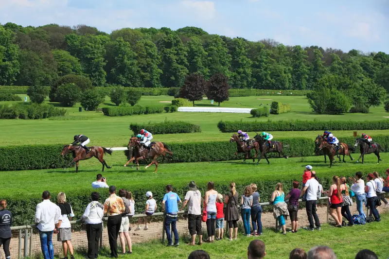 spectators watching horse race