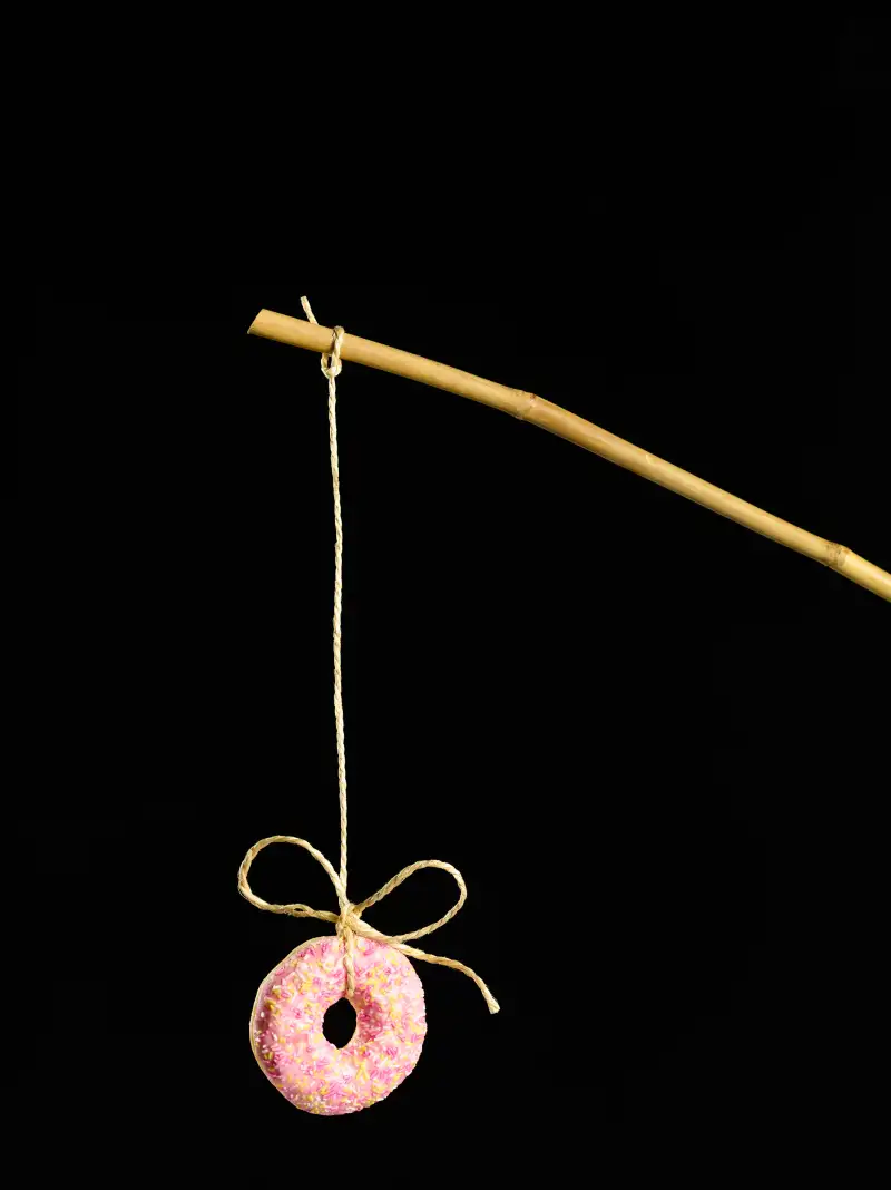 glazed donut on fishing pole line