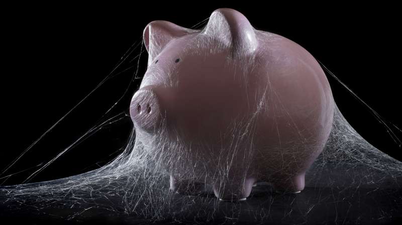 piggy bank under spider webs