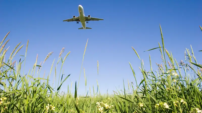 plane flying over field