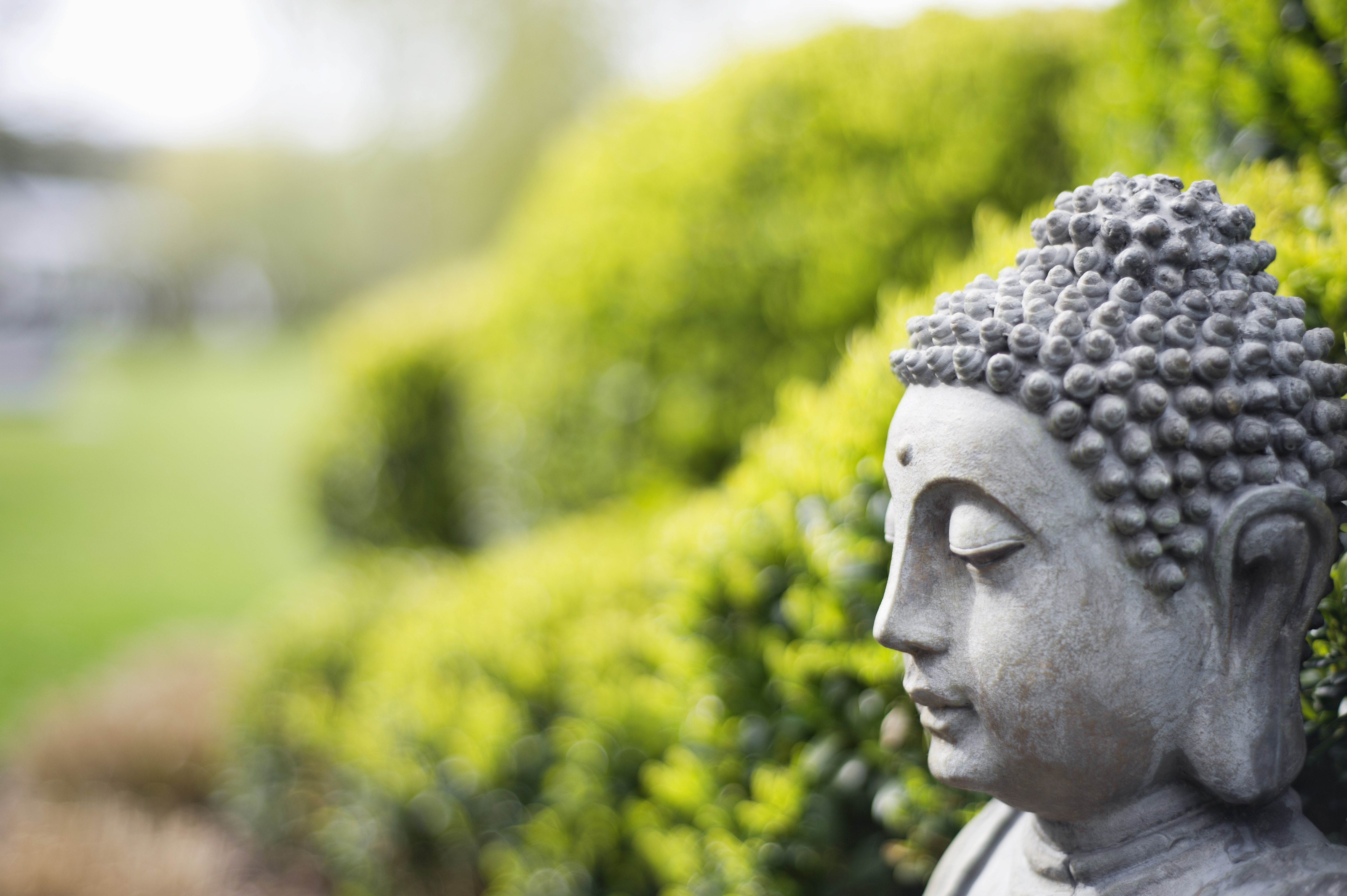 What Buddhism Can Teach Us About Money
