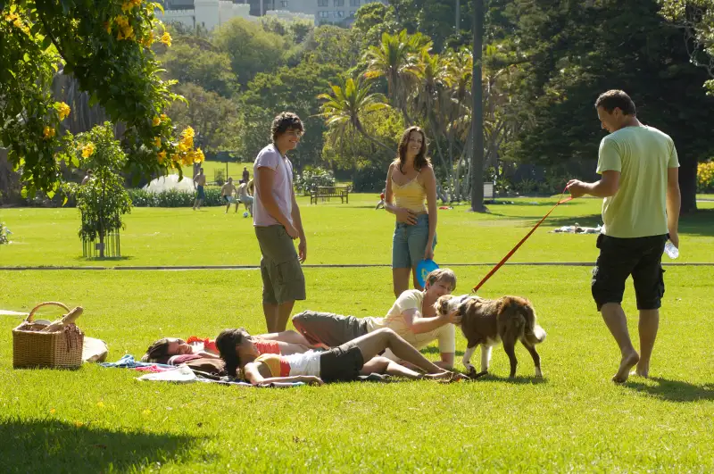 group of friends picnicking in the park