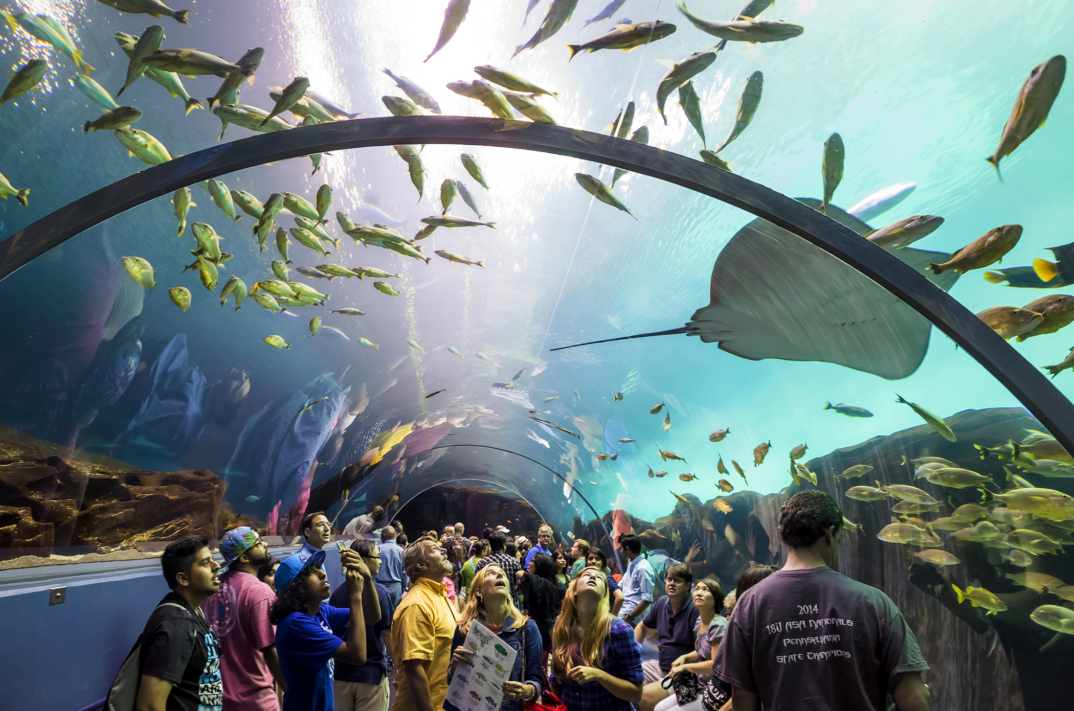 Interior of Georgia Aquarium, the world's largest aquarium holding more than 8 million gallons of water in Atlanta, Georgia on August 2, 2014