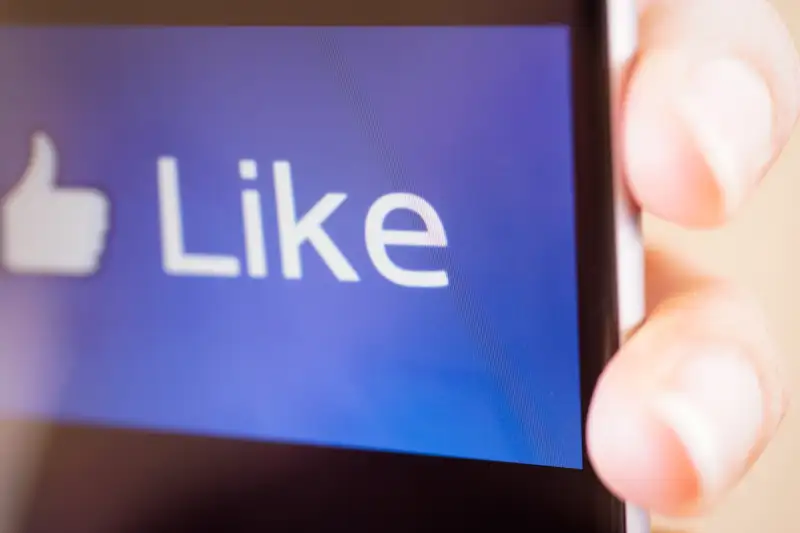 Social Media Life