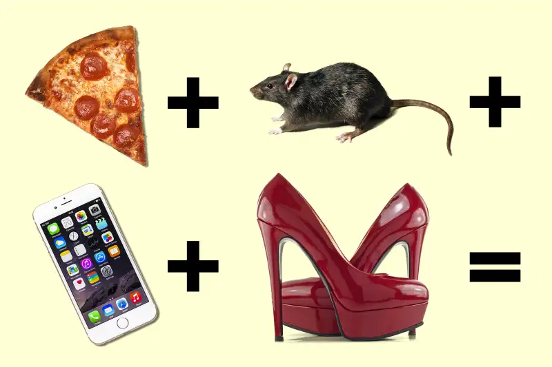 illustration of equation with pizza, rat, mobile phone, and sexy heels