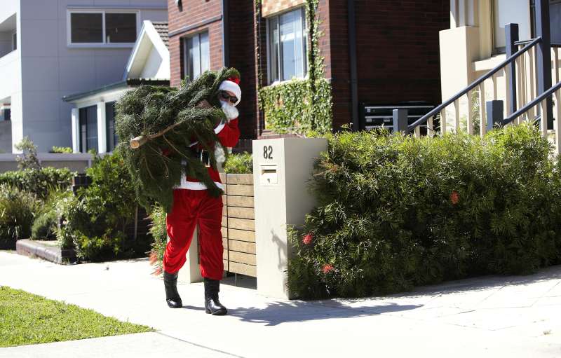 Man in Santa suit carrying xmas tree through summery neighborhood