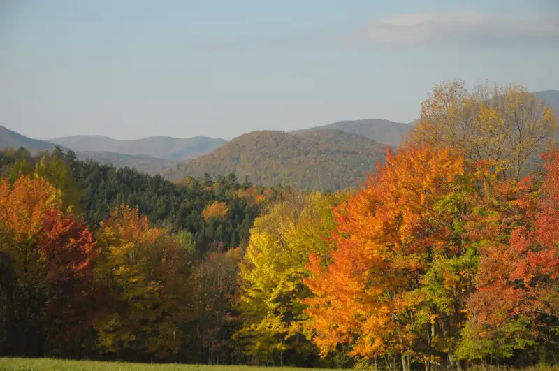 Fall Foliage, Waitsfield, VT