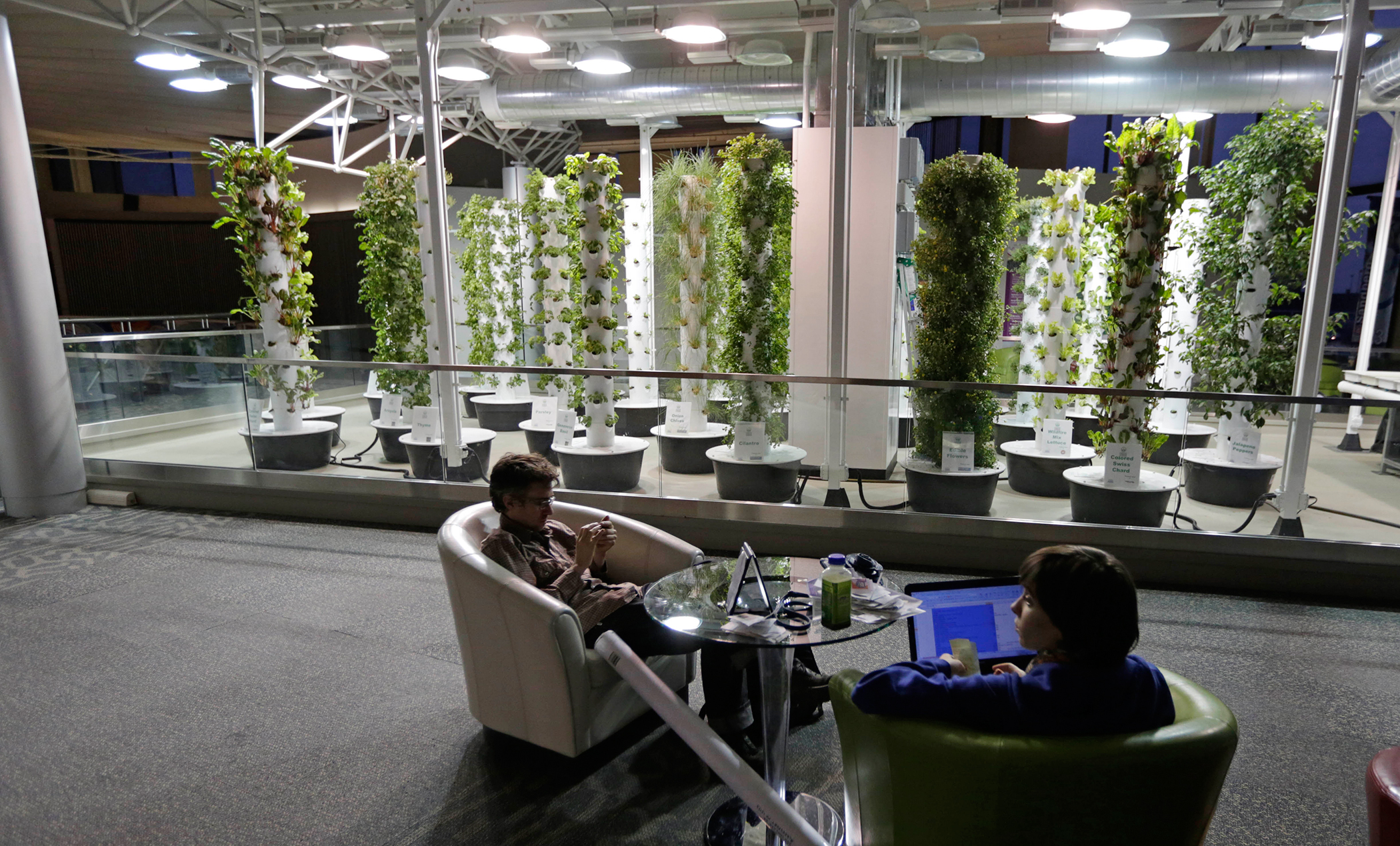 In this photo taken December 18, 2012, at O'Hare International Airport in Chicago, travelers David Janesko and Tess Menotti relax between flights next to O'Hare's Urban Garden where fresh herbs are grown and used in airport restaurants. Getting stranded at an airport once meant camping on the floor and enduring hours of boredom in a kind of travel purgatory with nothing to eat but fast food. Tough economic times are helping drive airports to make amends and transform terminals with a bit of bliss: spas, yoga studios, luxury shopping and restaurant menus crafted by celebrity chefs.