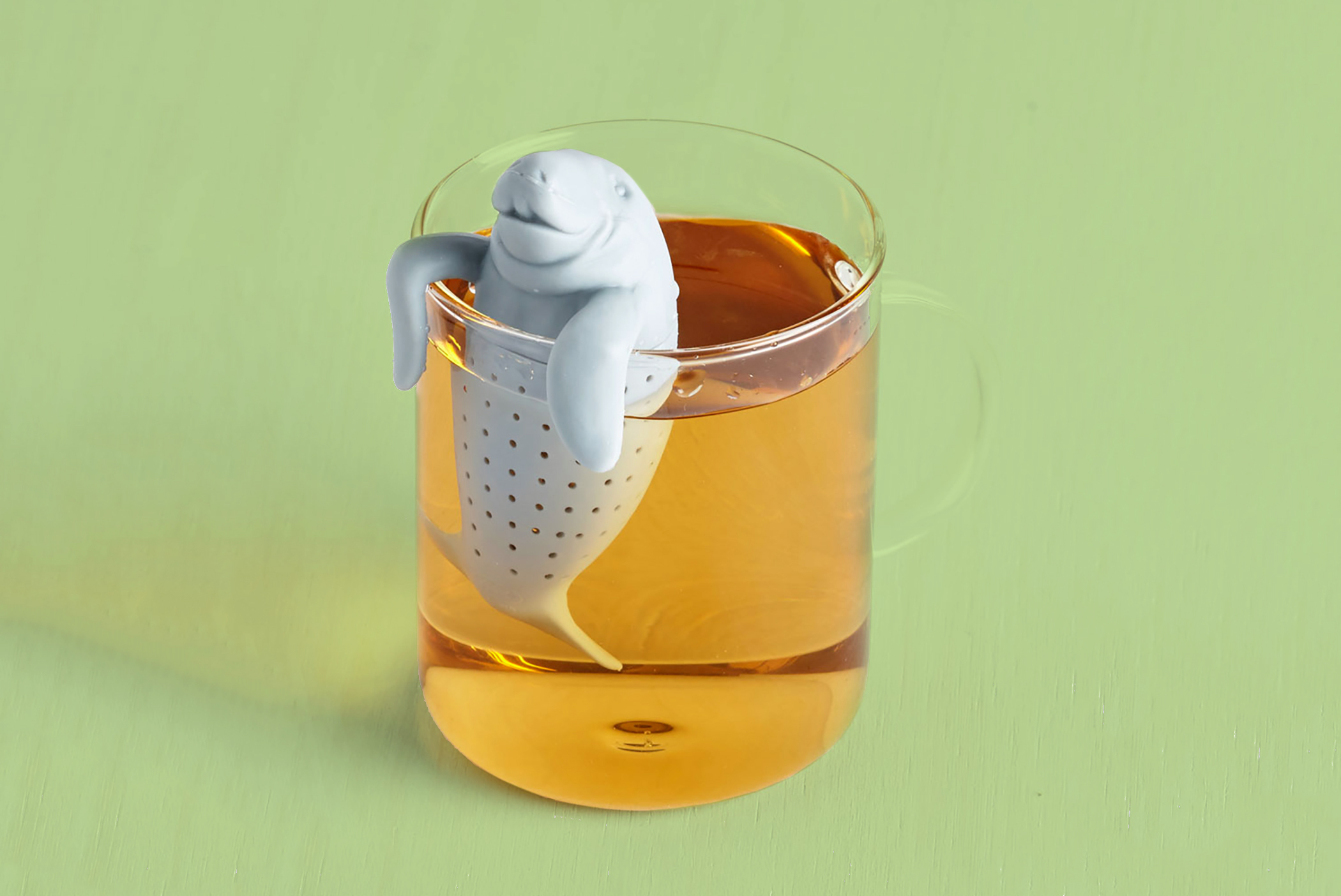 Sea for Two Tea Infuser from ModCloth