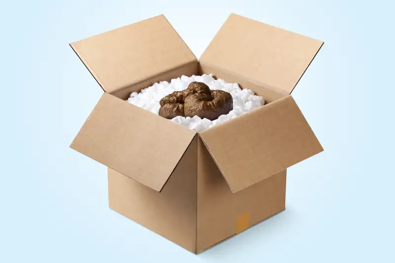 poop in box