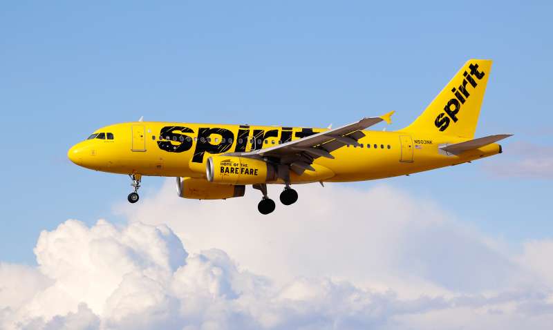 An Airbus A319 jetliner, belonging to Spirit Airlines, lands at McCarran International Airport in Las Vegas, Nevada on March 5, 2015.