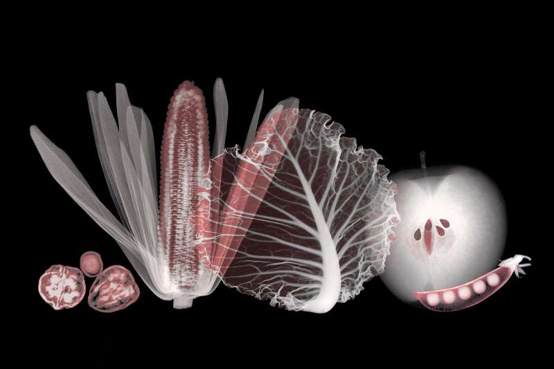 X-rays of vegetables and fruits with red