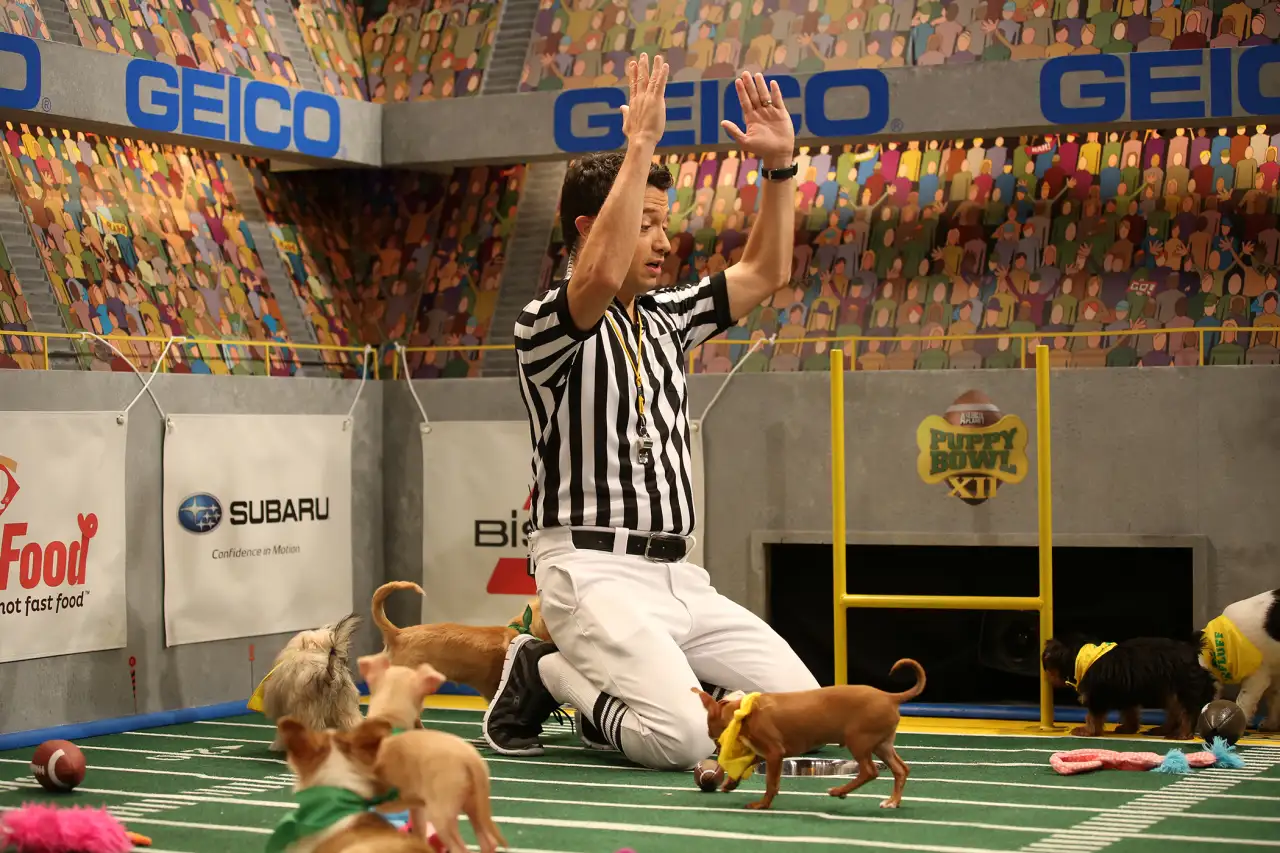 How to Become the Puppy Bowl Referee